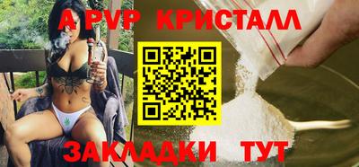 СК Бийск