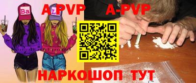 СК Бийск