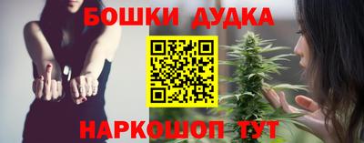 СК Бийск