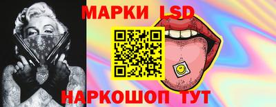 СК Бийск