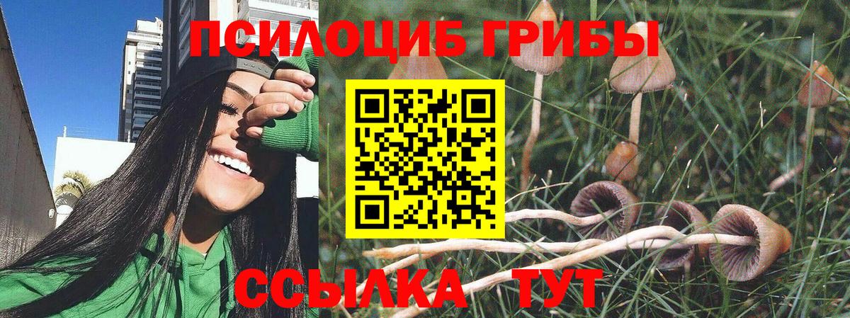 Псилоцибиновые грибы Magic Shrooms Качканар